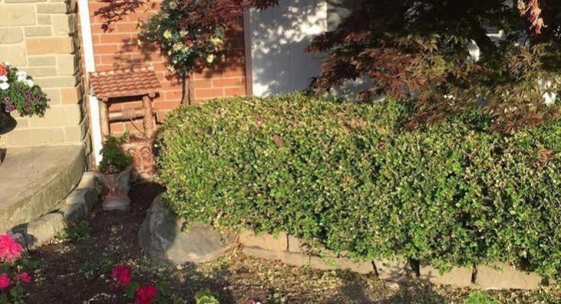 Cobblestone Bed And Breakfast ナイアガラオンザレイク エクステリア 写真